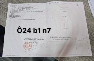 Fb Img 1726367107473