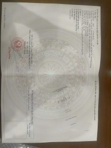 Fb Img 1727251568341