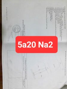 Img 20240910 105539