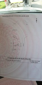 Img 20240913 172652