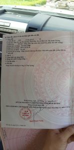 Img 20240913 172656