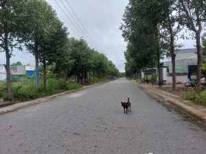 Img 20240918 142326