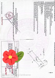 Img 1728869860446 1728870404523