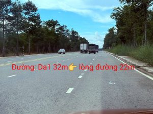 Img 1729151131306 1729167376891