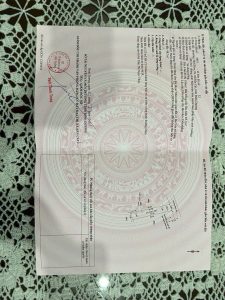 Img 20241112 080454