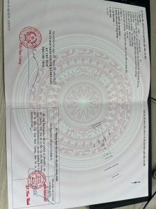 Img 1733136106840 1733187796431