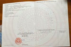 Img 1733219234043 1733230418068