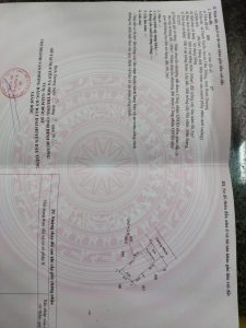 Img 20241221 101939