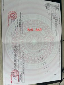 Img 20250208 093023