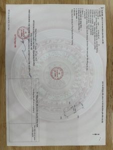 Img 20250214 112056