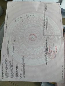 Img 20250219 135231