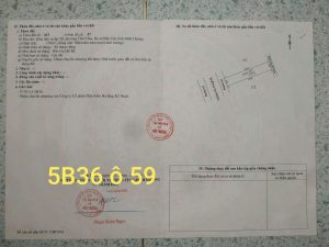 Img 20250219 140740