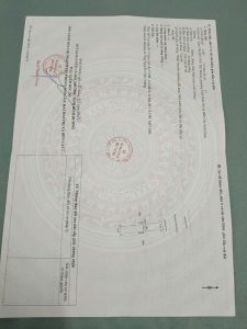 Img 1741859567466 1742001193719