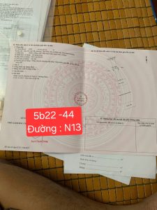 Img 1741917766342 1742012390141