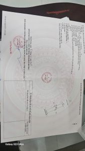 Img 20250311 161844
