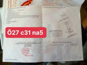 Img 20250319 151555