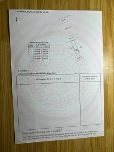 Img 1755571230327 1755581497224