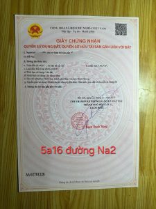 Img 1755571230394 1755581497601