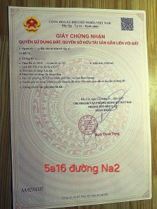 Img 1755571230432 1755581498091