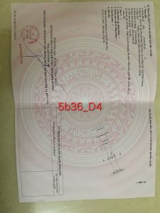 Fb Img 1757649821728