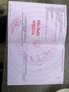 Img 1755913854319 1757563203648