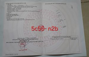 Img 1757474156880 1757656213004