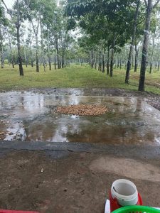 Img 1757655252552 1757655348142