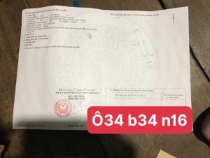 Img 1757771795766 1757771924808