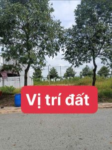 Img 1757771795789 1757771925985