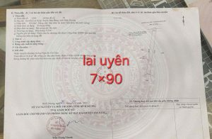 Img 1757922519139 1757922693586