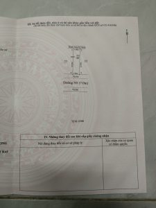 Img 1758254327277 1758261598349