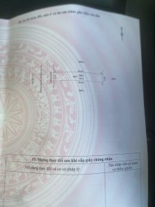 Img 1759894058051 1760060099949