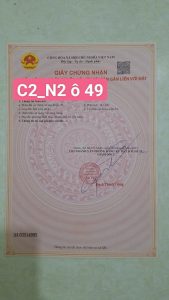 Img 1761390412931 1761394117260