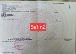 Fb Img 1763861403440