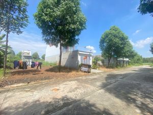 Img 1761716189842 1763348799294