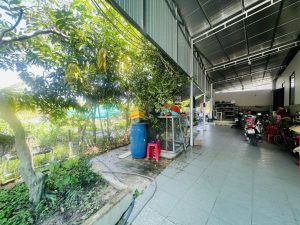 Img 1762764336115 1762764451475