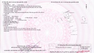 Img 1762764336235 1762764452375