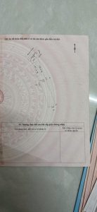 Img 1762999562466 1763014895716