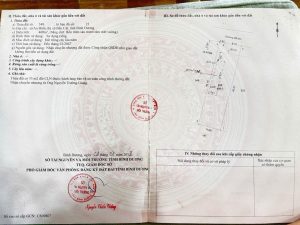 Img 1763002460692 1763002836086