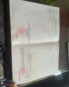 Img 1763106584436 1763478827005