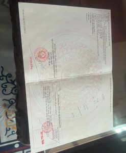 Img 1763106584458 1763478827269