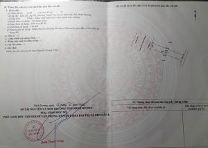 Img 1763259422511 1763263440739