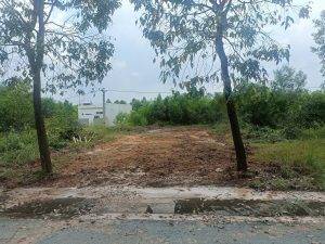 Img 1763259573645 1763263062184