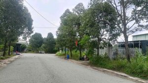 Img 1763259573709 1763263064449