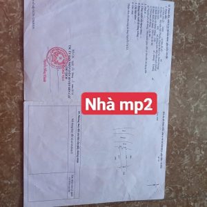 Img 1763347993132 1763377360238