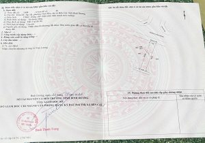 Img 1763387871970 1763390436103