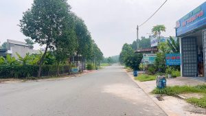 Img 1765878065690 1765949400940