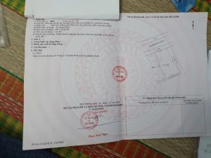 Img 1766640046880 1766823245713