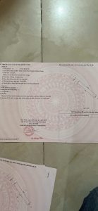 Img 1766729938510 1766732039541