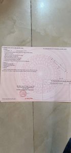 Img 1766729938534 1766732040241